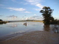 /album/passear-por-santarem/a11844494-jpg/
